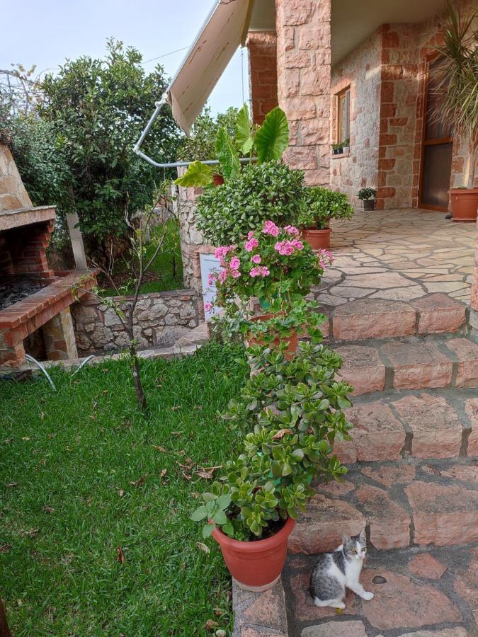 Altin Skrapari Guesthouse Ksamil Exterior foto